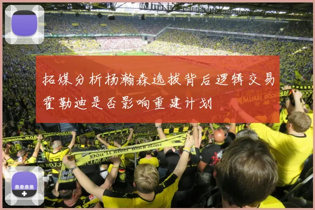 拓媒分析杨瀚森选拔背后逻辑交易霍勒迪是否影响重建计划