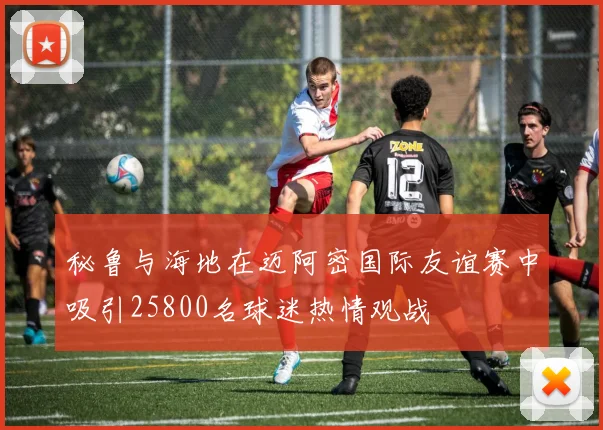 秘鲁与海地在迈阿密国际友谊赛中吸引25800名球迷热情观战