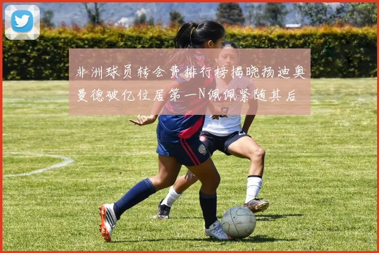非洲球员转会费排行榜揭晓扬迪奥曼德破亿位居第一N佩佩紧随其后