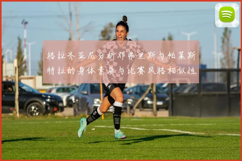 格拉齐亚尼分析邓弗里斯与帕莱斯特拉的身体素质与比赛风格相似性