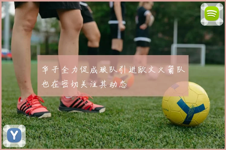 华子全力促成狼队引进欧文火箭队也在密切关注其动态