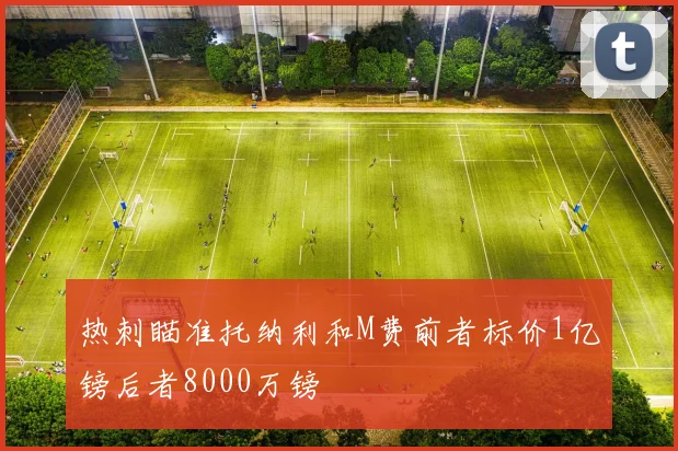 热刺瞄准托纳利和M费前者标价1亿镑后者8000万镑
